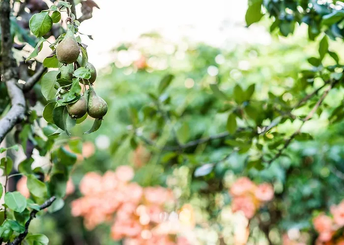 La Chicca Nocleg ze śniadaniem