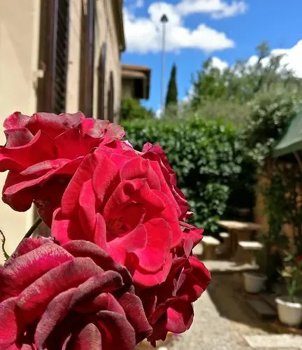 La Chicca Nocleg ze śniadaniem Siena