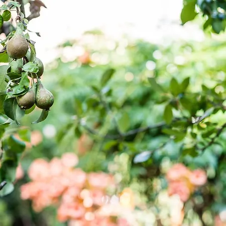 La Chicca Oda ve Kahvaltı